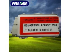 RSM01P51KN快速熔断器-FENLONG芬隆品牌