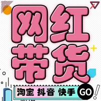 网红电商直播带货，厂家、品牌方，服装、美妆快速卖货，保量主播