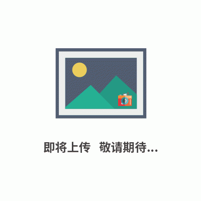 优安宏ip吸顶音箱