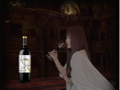 IRENENA红酒温碧霞自创品牌进口法国葡萄酒海潮丹娜干红